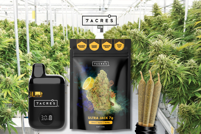 7Acres_Hero Banner - UltraJack7g and AIO Vape