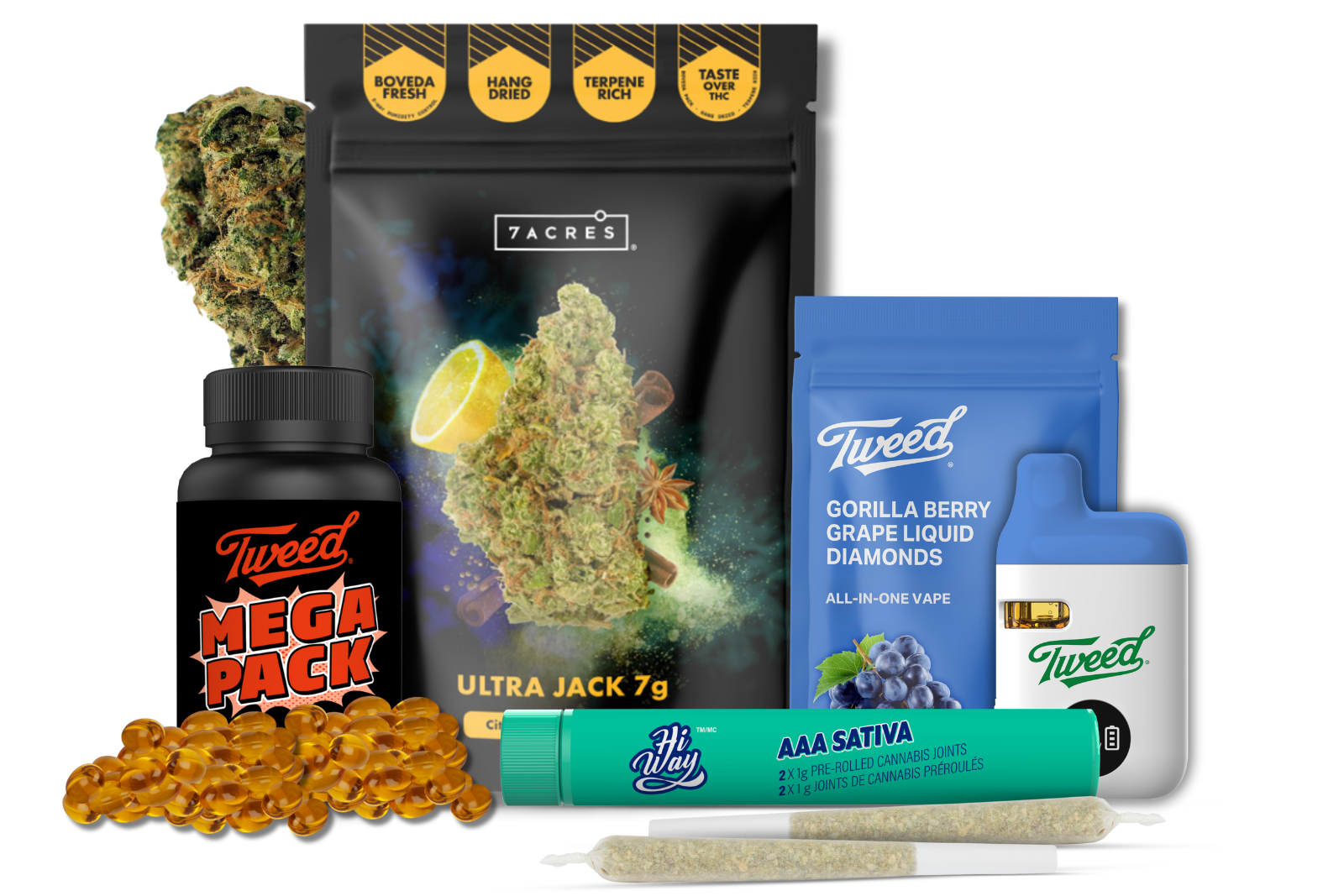 Welcome to Canopy Collection