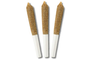 Infused_Pre-Rolls