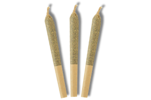 Pre-Rolled_Joints