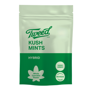 TweedKushMintsDriedFlower